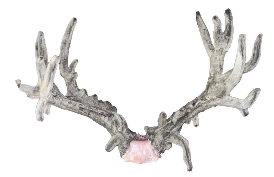 Custom Trophy Standard Snapback