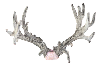 Custom Trophy Standard Snapback